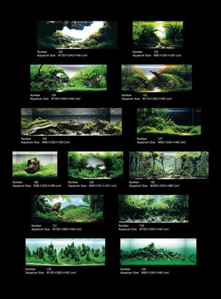 TOP 200 IAPLC 2012 (AquaA3.com.br)