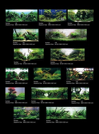 TOP 200 IAPLC 2012 (AquaA3.com.br)