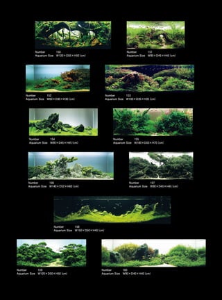 TOP 200 IAPLC 2012 (AquaA3.com.br)