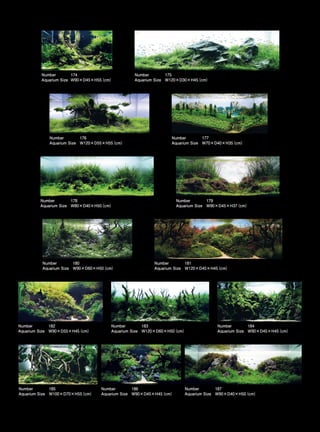 TOP 200 IAPLC 2012 (AquaA3.com.br)