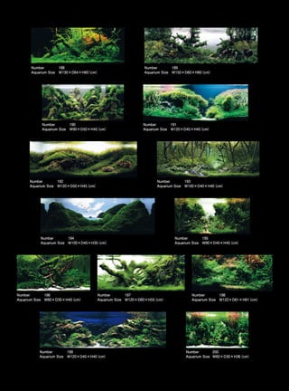 TOP 200 IAPLC 2012 (AquaA3.com.br)