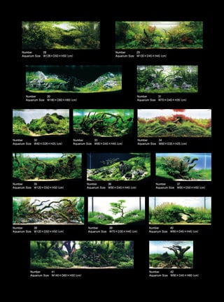 TOP 200 IAPLC 2012 (AquaA3.com.br)