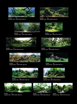 TOP 200 IAPLC 2012 (AquaA3.com.br)