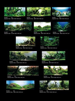 TOP 200 IAPLC 2012 (AquaA3.com.br)