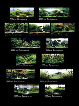 TOP 200 IAPLC 2012 (AquaA3.com.br)