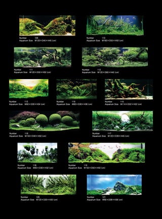 TOP 200 IAPLC 2012 (AquaA3.com.br)