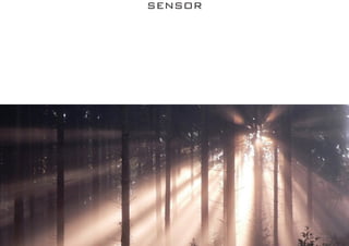 SENSOR
 
