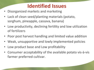 Identified Issues <ul><li>Disorganized markets and marketing  </li></ul><ul><li>Lack of clean seed/planting materials (pot...