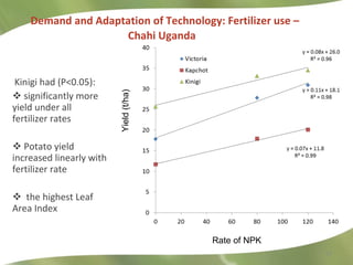 Demand and Adaptation of Technology: Fertilizer use – Chahi Uganda  <ul><li>Kinigi had (P<0.05): </li></ul><ul><li>signifi...
