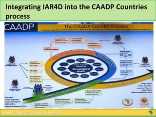 Integrating IAR4D into the CAADP Countries 
process 
Forum for Agricultural Research in Africa 
 