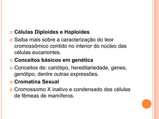  Células Diploides e Haploides
 Saiba mais sobre a caracterização do teor
  cromossômico contido no interior do núcleo das
  células eucariontes.
 Conceitos básicos em genética

 Conceitos de: cariótipo, hereditariedade, genes,
  genótipo, dentre outras expressões.
 Cromatina Sexual

 Cromossomo X inativo e condensado das células
  de fêmeas de mamíferos.
 