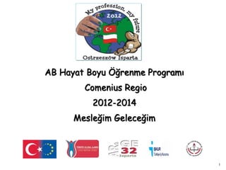 1 
AB Hayat Boyu Öğrenme Programı 
Comenius Regio 
2012-2014 
Mesleğim Geleceğim 
 