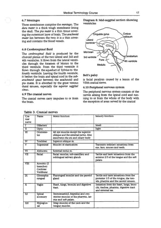 Medical Terminology Course 17
6.7 Meninges
Three membranes comprise the meninges. The
dura mater is a thick tough membrane lining
the skull. The pia mater is a thin tissue cover-
ing the outermost layer of brain. The arachnoid
mater lies between the two; it is a thin cover-
ing and contains the blood vessels.
6.8 Cerebrospinal fluid
The cerebrospinal fluid is produced by the
choroid plexus of the two lateral and 3rd and
4th ventricles. It flows from the lateral ventri-
cles through the foramen of Monro to the
third ventricle. From the third ventricle it
flows through the aqueduct of Sylvius to the
fourth ventricle. Leaving the fourth ventricle,
it bathes the brain and spinal cord in the sub-
ara chnoid space between the aracimoid and
pia mater. It is absorbed by the great venous
durai sinuses, especially the superior saggital
sinus.
6.9 The cranial nerves
The cranial nerves carry impulses to or from
the brain.
Diagram 8: Mid-saggital section showing
ventricles
gyrus 'NCorpus
Mid-brain
3rd ventricle7k
!
Pons
Medulla
ventricle
Bell's palsy
is facial paralysis caused by a lesion of the
With cranial nerve.
6.10 Peripheral nervous system
The peripheral nervous system consists of the
nerves arising from the spinal cord and run-
ning to or from the whole of the body with
the exception of areas served by the cranial
Table 3. Cranial nerves
Cra- Name Motor function Sensory function
niai
nerve
I Olfactory Smell
II Optic Sight
III Oculomo- All eye muscles except the superior
tor oblique and the external rectus. Also
innervates the iris and diary body
IV Trochlear Superior oblique m.
V Trigeminal Muscles of mastication Transmits ordinary sensations from
eye, face, sinuses and teeth.
VI Abducens External rectus m.
VII Facial Facial muscles, sub-maxillary and Tactile and taste sensations from the
sublingual salivary glands anterior 2/3 of the tongue and the soft
palate.
VIII Acoustic (2
branches)
Cochlear
Vestibular
LX Glossopha- Pharyngeal muscles and the parotid Tactile and taste sensations from the
ryngeal gland posterior 1/3 of the tongue, the ton-
sils, pharynx and the carotid sinuses.
X Vagus Heart, lungs, bronchi and digestive Sensation from the heart, lungs, bron-
tract. chi, trachea, pharynx, digestive tract
and external eat
XI Spinal Sternomastoid, trapezius and con-
accessory sthctor muscles of the pharynx, lar-
_______ ynx and soft palate.
XII Hypoglos- Strap muscles of the neck and the
sal I tongue muscles.
 