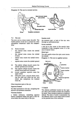 Medical Terminology Course
Diagram 10: The ear in coronal section
Semi-circular canals
and cochlea
coustic nerve
-- stachian tube round nthL
Pinna Tympanic membrane
19
7.2 The eye
The eye is set in a bony socket, the orbit The
visible portion of the eye is covered by a thin
transparent membrane called the conjunc-
tiva.
(1) Rectus muscles:
- the external rectus rotates the eyeball
outward
- the internal rectus rotates the eyeball
inward;
- inferior rectus rotates the eyeball down-
ward;
- superior rectus rotates the eyeball upward
(2) The inferior oblique muscle rotates the
eyeball upwards and outwards.
(3) The superior oblique muscle rotates the
eyeball downwards and outwards.
(4) Levator palpebrae superioris raises the
upper eyelid.
(5) Orbicularis oculi: a muscle which encir-
cles the orbit and doses the eye, and
which also compresses the lacrimal
(tear) sac.
Other important parts of the eye
Aqueous humor
the fluid produced in the eye, occupying the
anterior and posterior chambers.
Vitreous humor
a watery substance, resembling aqueous
humor contained within the space of the vit-
reous body (the main body of the eye).
Fundus oculi
the posterior part, or back of the eye, seen
through an ophthalmoscope.
Fovea centralis
a tiny pit in the center of the macula lutea
composed of slim elongated cones. It is the
area of dearest vision
Blind spot
The optic papilla where the optic nerve leaves
the eyeball.
Diagram 11: The eye in sagittal section
Optic nerve
Iris
/ civa
' Posterior chamber
"Anterior chamber
Vitreous
_Pupil
humour -Cornea
'Lens
uspensory ligaments
body
Sciera
7.3 Smell
The olfactory epithelium located in the supe-
rior deft of the nostrils contains the receptors
for smell. These receptors respond to chemical
stimuli. The sense of smell is transmitted via
the olfactory nerve to the smell centre located
in the parietal lobe of the cerebrum.
 
