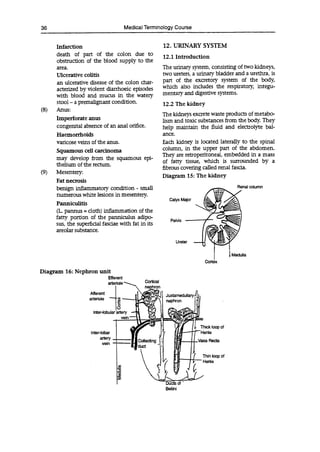 Cortex
36 Medical Terminology Course
(8)
(9)
Infarction
death of part of the colon due to
obstruction of the blood supply to the
area.
Ulcerative colitis
an ulcerative disease of the colon char-
acterized by violent diarrhoeic episodes
with blood and mucus in the watery
stool - a premalignant condition.
Anus:
Imperforate anus
congenital absence of an anal orifice.
Haemorrhoids
varicose veins of the anus.
Squamous cell carcinoma
may develop from the squamous epi-
thelium of the rectum.
Mesentery:
Fat necrosis
benign inflammatory condition - small
numerous white lesions in mesentery.
Panniculitis
(L pannus = cloth) inflammation of the
fatty portion of the panniculus adipo-
sus, the superficial fasciae with fat in its
areolar substance.
12. URINARY SYSTEM
12.1 Introduction
The urinary system, consisting of two kidneys,
two ureters, a urinary bladder and a urethra, is
part of the excretory system of the body,
which also includes the respiratory; integu-
mentary and digestive systems.
12.2 The kidney
The kidneys excrete waste products of metabo-
lism and toxic substances from the body. They
help maintain the fluid and electrolyte bal-
ance.
Each kidney is located laterally to the spinal
column, in the upper part of the abdomen.
They are retroperitoneal, embedded in a mass
of fatty tissue, which is surrounded by a
fibrous covering called renal fascia.
Diagram 15: The kidney
RnI rith irnn
Calyx M
Pelvis
Urete
lia
Diagram 16: Nephron unit
Efferent
arteriole
Afferent
arteriole j -
CS
triter-lobular artery
Cortical
nephron
Thick loop of
Inter-lobar
artery
vein
Vasa Recta
Thin loop of
Henle
Diic of
Bellini
 