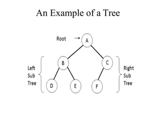 An Example of a Tree
 
