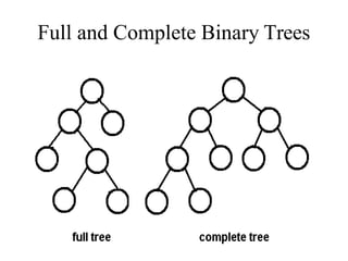 Full and Complete Binary Trees
 