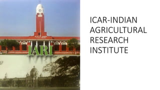 ICAR-INDIAN
AGRICULTURAL
RESEARCH
INSTITUTE
 