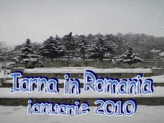 ianuarie 2010 Iarna in Romania 
