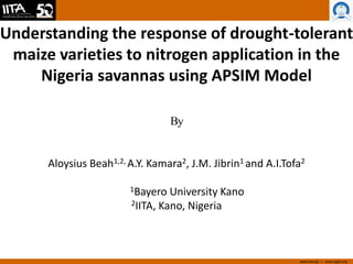 www.iita.org I www.cgiar.org
Understanding the response of drought-tolerant
maize varieties to nitrogen application in the
Nigeria savannas using APSIM Model
By
Aloysius Beah1,2, A.Y. Kamara2, J.M. Jibrin1 and A.I.Tofa2
1Bayero University Kano
2IITA, Kano, Nigeria
 