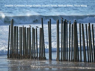 Creative Commons Image Credits: Jcarter, ZareK, Nathan Gibbs, Tricia Wang
 