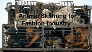 Animal Skinning for
Fashion Industry
DaEun Kim
photo credit: peta.org
 