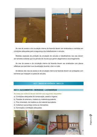 As vias de acesso e de circulação interna da fazenda devem ser sinalizadas e mantidas em
condições adequadas para a segurança dos trabalhadores e veículos.

  Medidas especiais de proteção da circulação de veículos e trabalhadores nas vias devem
ser tomadas evitando que no período de chuvas que gerem alagamento e escorregamento.

  As vias de acesso e de circulação interna da fazenda devem ser sinalizadas com placas
refletivas que permitam sua visualização durante o dia e a noite.

  As laterais das vias de acesso e de circulação interna da fazenda devem ser protegidas com
barreiras que impeçam a queda de veículos.




                           A5.7 - ÁREAS DE VIVÊNCIA - NR31.23


A5.7.1 - ALOJAMENTOS – MORADIAS – LAVANDERIAS

As áreas de vivência devem atender aos seguintes requisitos:
a) Condições adequadas de conservação, asseio e higiene;
b) Paredes de alvenaria, madeira ou material equivalente;
c) Piso cimentado, de madeira ou de material equivalente;
d) Cobertura que proteja contra as intempéries;
e) Iluminação e ventilação adequadas.
                                                                                               p
                                                                                               Página A.1
 