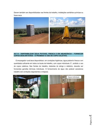 Devem também ser disponibilizadas nas frentes de trabalho, instalações sanitárias químicas ou
fosse seca.




A5.7.6 - DISPONIBILIZAR ÁGUA POTÁVEL FRESCA E EM ABUNDÂNCIA – FORNECER
COPOS DESCARTÁVEIS – É PROIBIDO O USO DE COPO COLETIVO.

  O empregador rural deve disponibilizar, em condições higiênicas, água potável e fresca e em
quantidade suficiente em todos os locais de trabalho, com copos individuais. É proibido o uso
de copos coletivos. Nas frentes de trabalho, distantes do abrigo e refeitório, deverão ser
fornecidas garrafas térmicas individuais. O fornecimento de água não potável caracteriza
trabalho sob condições degradantes e indignas.


                                                                        Copos individuais




   Garrafas Térmicas
                                                                                                t
                                                                                                Página A.1
 