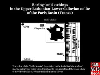 The oolite of the "Dalle Nacrée" Formation in the Paris Basin is made of
marine calcareous ooids with, from base to top, radial (and therefore likely
to have been calcite), concentric and micritic fabrics
Borings and etchings
in the Upper Bathonian-Lower Callovian oolite
of the Paris Basin (France)
Bruno Granier
 