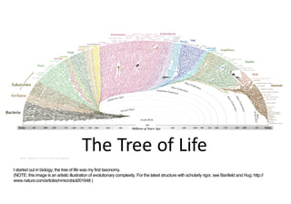 The	Tree	of	LifeArtistic	 illustration	 of	the	tree	of	life	by	Evogeneao
I started out in biology; the tree of life was my...