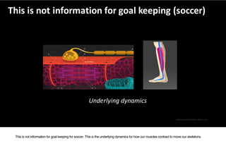 Skeletal	muscle	animation:	Eleanor	Lutz;	
This	is	not	information	for	goal	keeping	(soccer)
Underlying	dynamics
This is no...