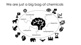 We are just a big bag of chemicals
serotonin
dopamine
norepinephrine
anandamide
oxytocin
endorphins
testosterone
 