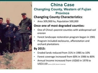 Comparing governance reforms to restore the forest commons in Nepal, China and Ethiopia