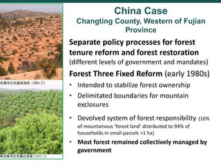 Comparing governance reforms to restore the forest commons in Nepal, China and Ethiopia