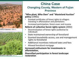 Comparing governance reforms to restore the forest commons in Nepal, China and Ethiopia