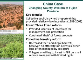 Comparing governance reforms to restore the forest commons in Nepal, China and Ethiopia