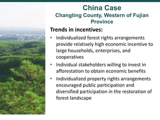 Comparing governance reforms to restore the forest commons in Nepal, China and Ethiopia