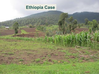 Comparing governance reforms to restore the forest commons in Nepal, China and Ethiopia