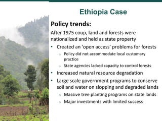 Comparing governance reforms to restore the forest commons in Nepal, China and Ethiopia