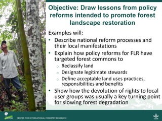 Comparing governance reforms to restore the forest commons in Nepal, China and Ethiopia
