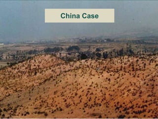 Comparing governance reforms to restore the forest commons in Nepal, China and Ethiopia