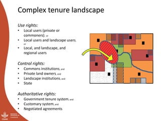 Governing shared resources in multi-level systems: It’s not just about property rights