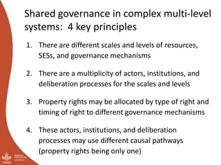 Governing shared resources in multi-level systems: It’s not just about property rights