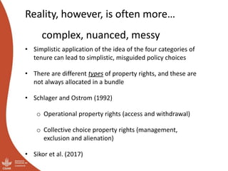 Governing shared resources in multi-level systems: It’s not just about property rights