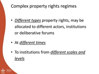 Governing shared resources in multi-level systems: It’s not just about property rights