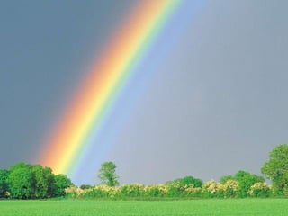 Animaciones informatica