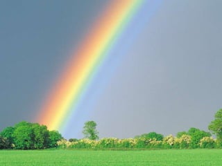 Animaciones informatica