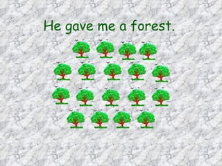 He gave me a forest.   