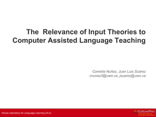 The  Relevance of Input Theories to Computer Assisted Language Teaching Camelia Nuñez, Juan Luis Suárez cnunez3@uwo.ca, jsuarez@uwo.ca 