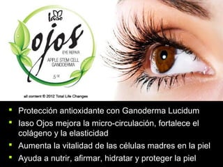  Protección antioxidante con Ganoderma Lucidum
 Iaso Ojos mejora la micro-circulación, fortalece el
colágeno y la elasticidad
 Aumenta la vitalidad de las células madres en la piel
 Ayuda a nutrir, afirmar, hidratar y proteger la piel
 